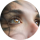 Jenna K